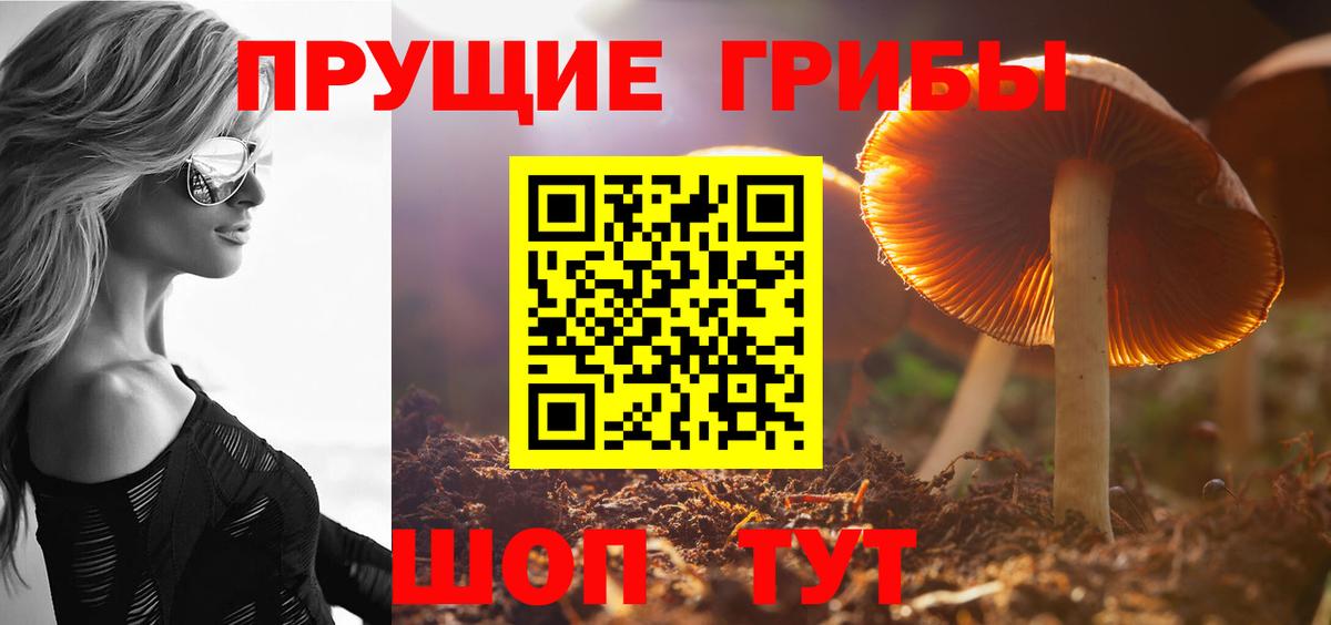 Дедовск  Псилоцибиновые грибы Magic Shrooms  Галлюциногенные грибы Cubensis  Вход с VPN 